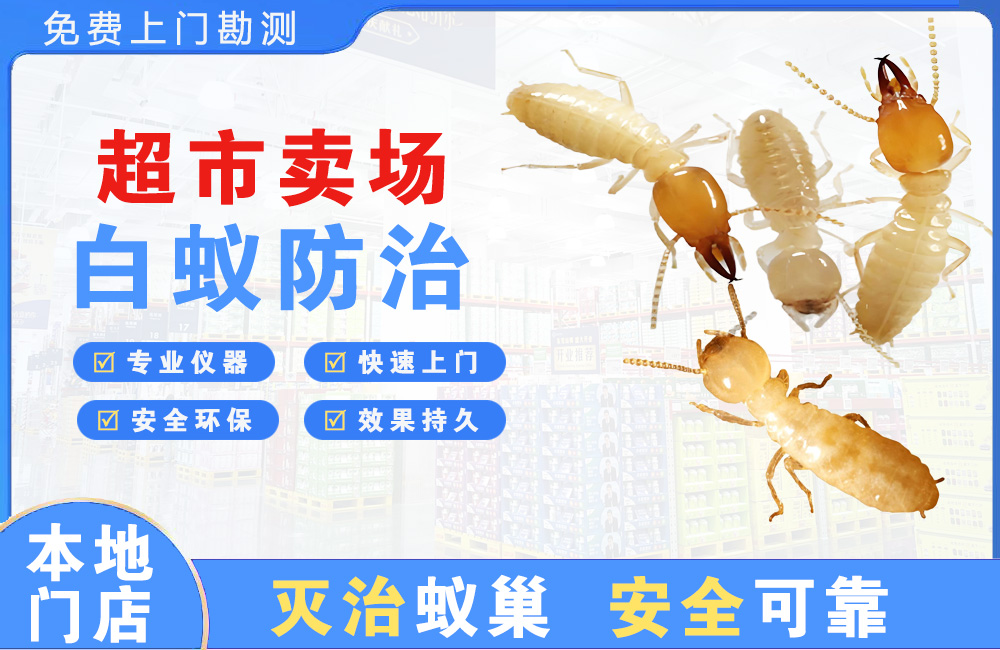 石狮超市卖场白蚁防治