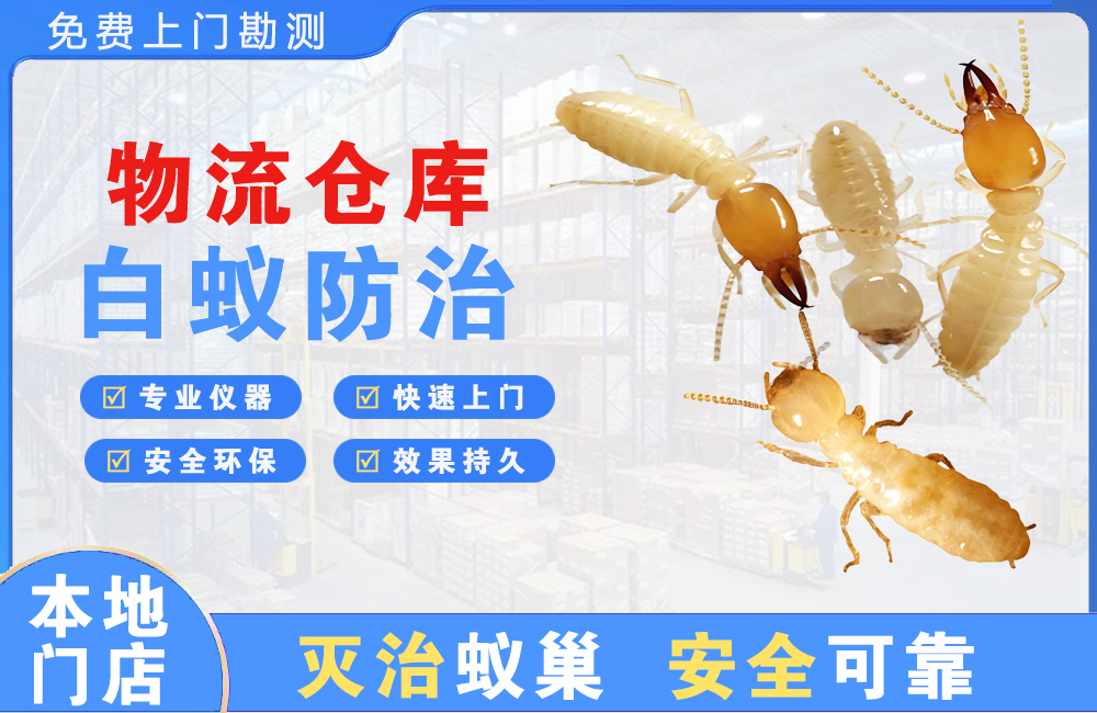 石狮物流仓库白蚁防治
