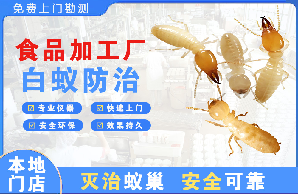 石狮食品加工厂白蚁防治