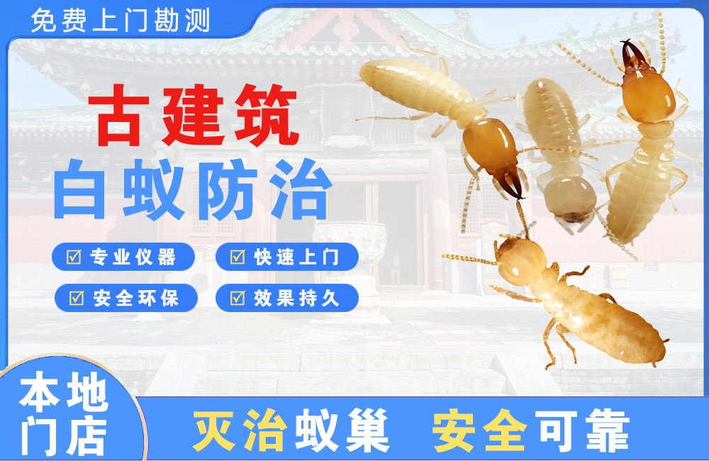 石狮古建筑白蚁防治