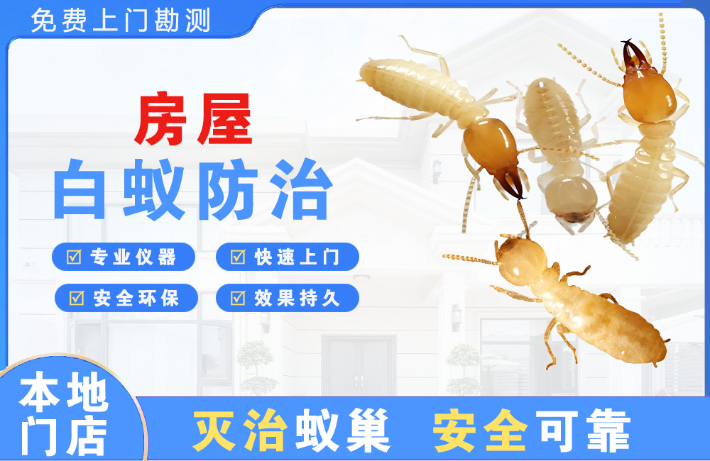 石狮房屋白蚁防治